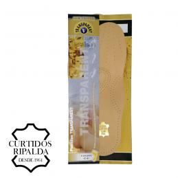 Plantilla Transparent Golden